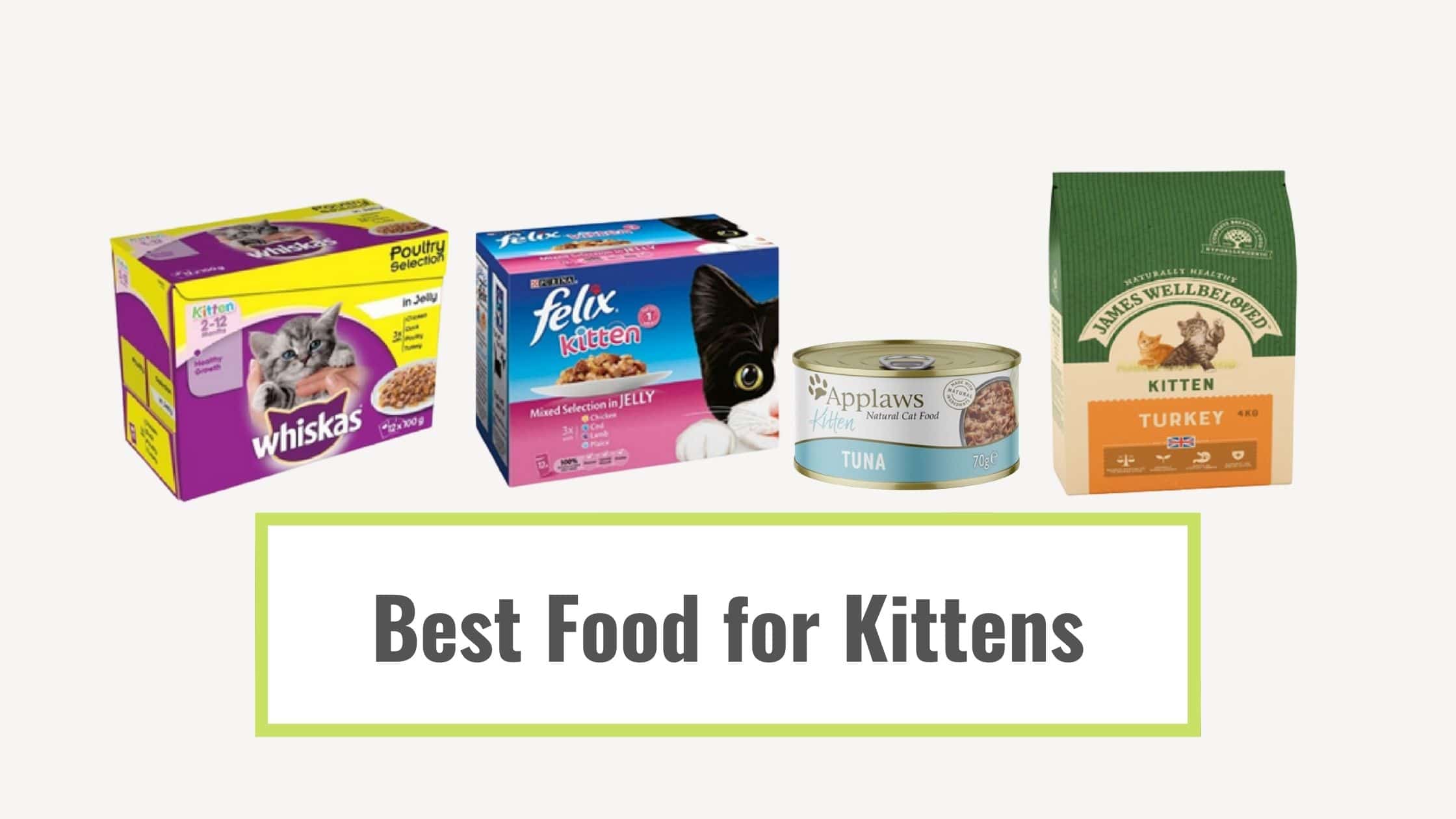 Best natural food for kittens hotsell