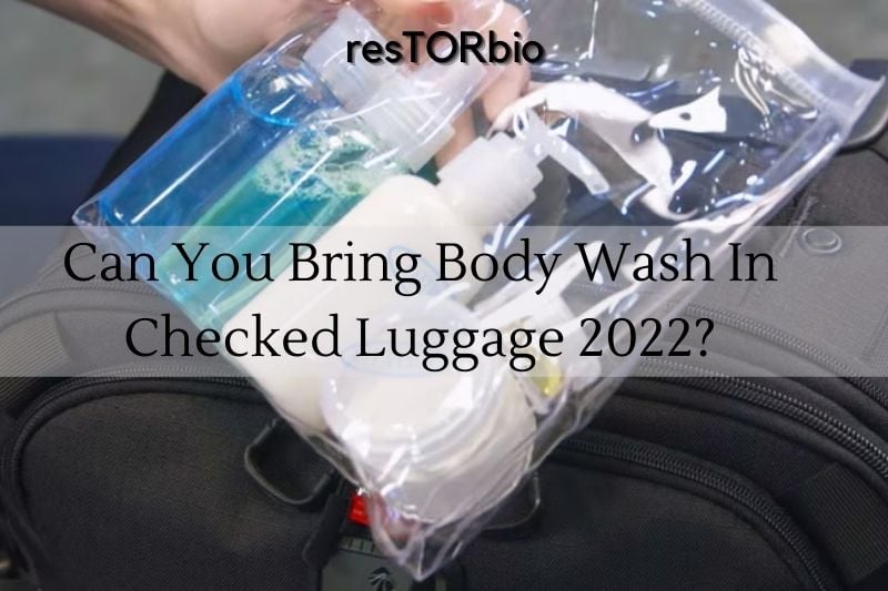 Can You Bring Body Wash In Checked Luggage on a Plane 2024