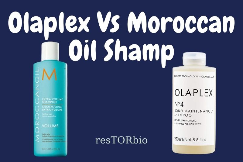 Olaplex deals and Moroccanoil Bundle