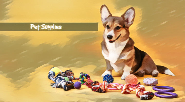 Best website to buy dog supplies best sale