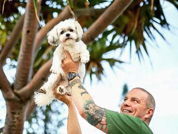 are-temporary-tattoos-safe-for-dogs