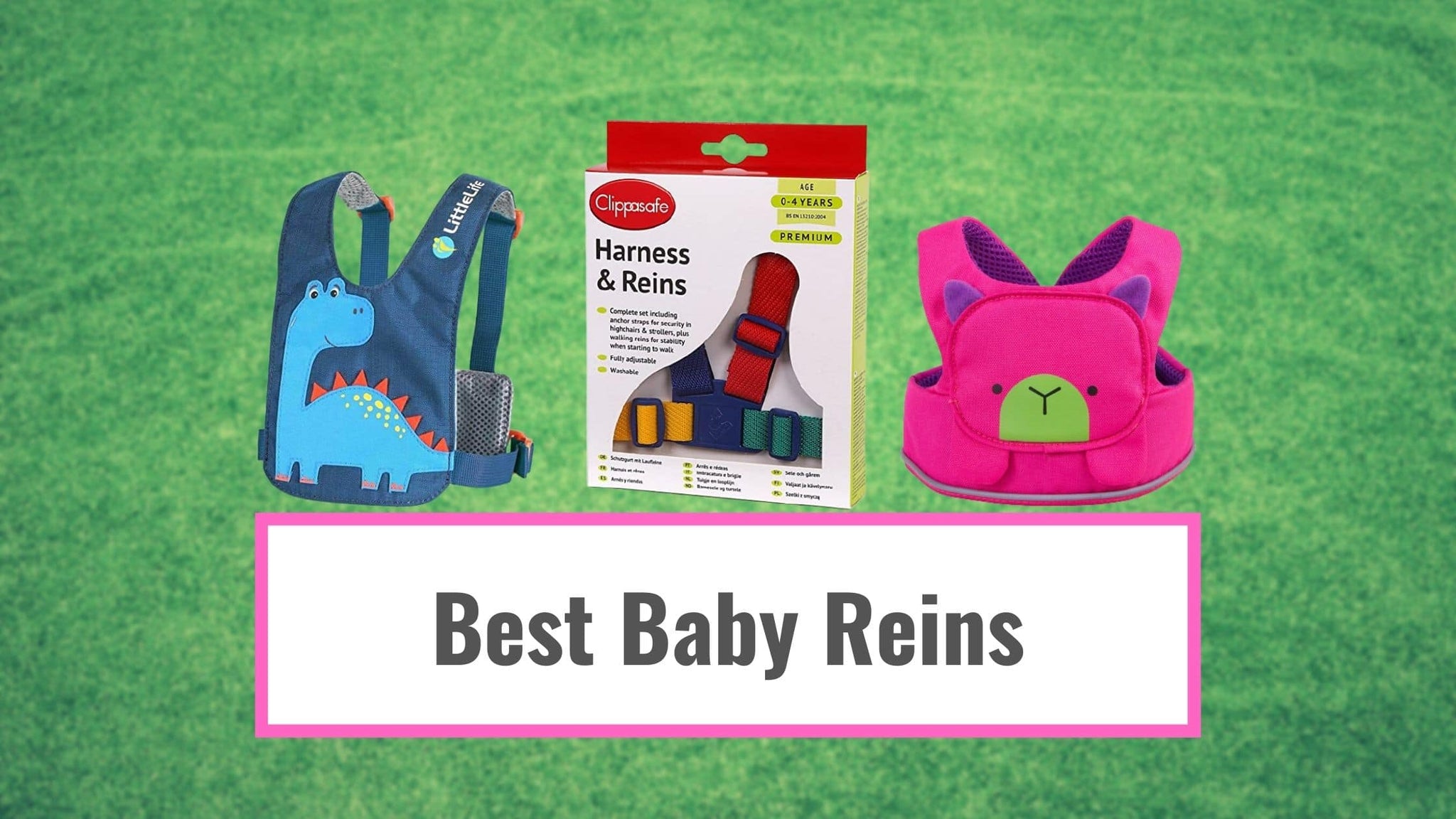 Best Baby Reins