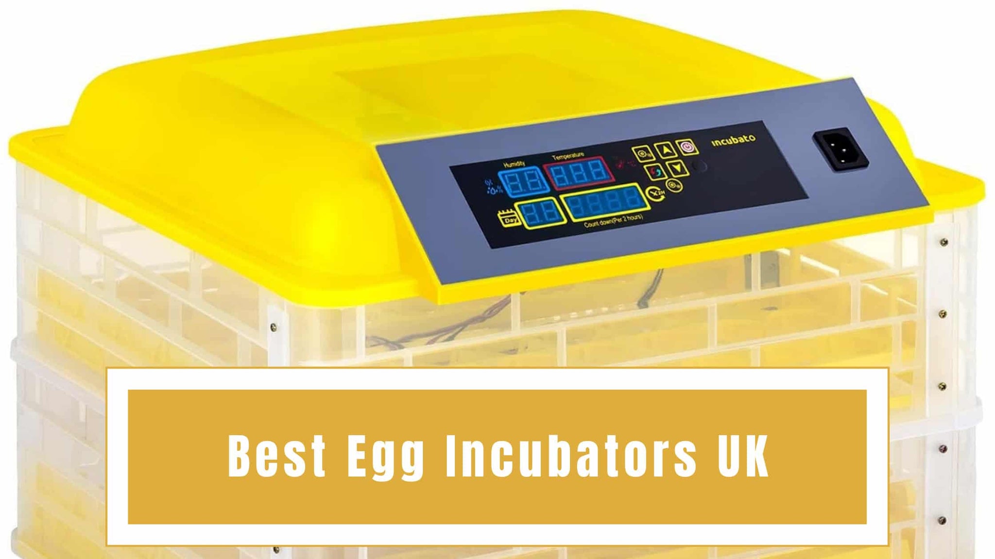 Best‌ ‌Egg‌ ‌Incubators‌ ‌UK