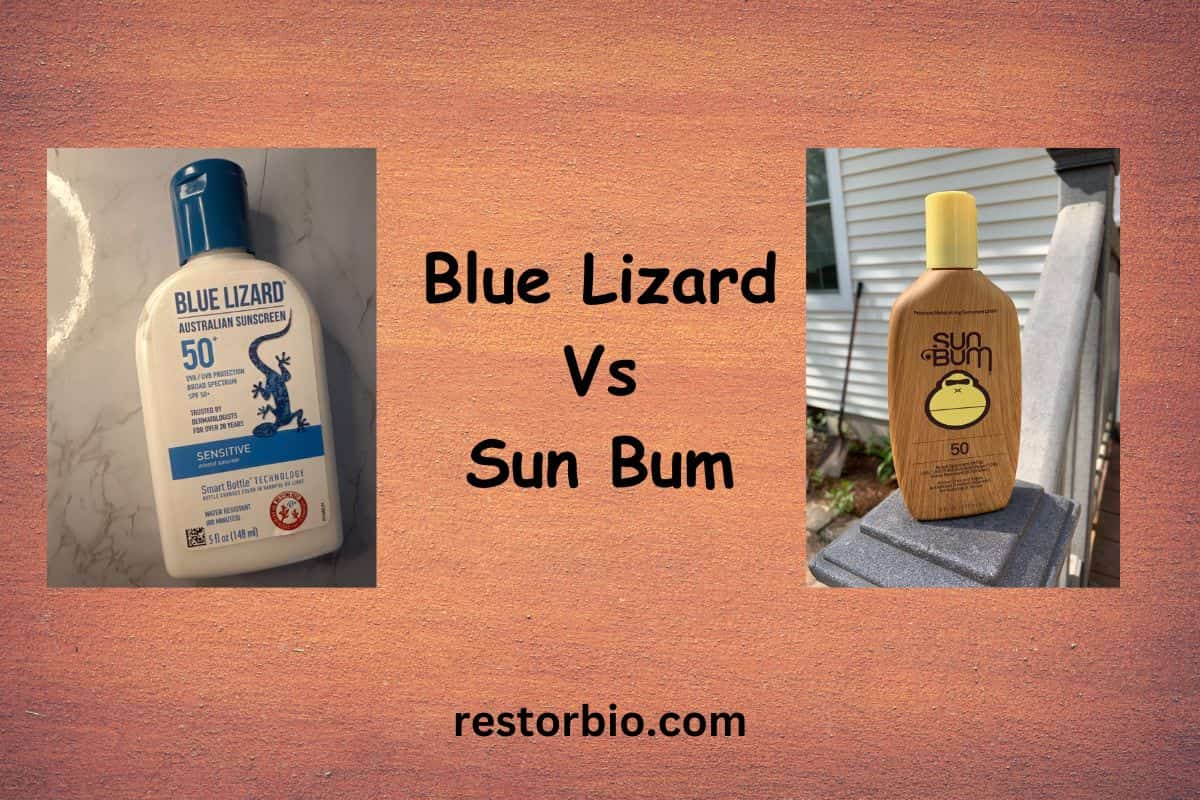 Blue Lizard Vs Sun Bum