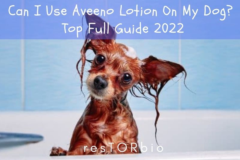 Can Aveeno Lotion Be Used On Dry Dog Pads