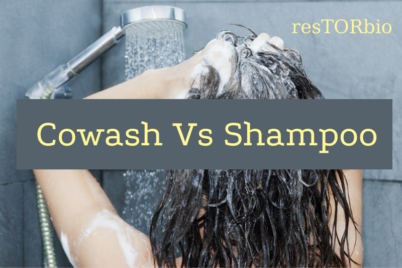 cowash-vs-shampoo