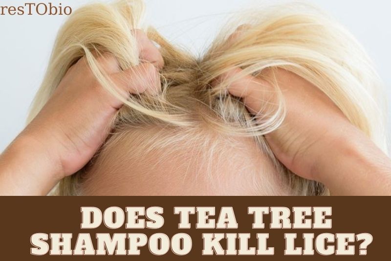 Does Tea Tree Shampoo Kill Lice