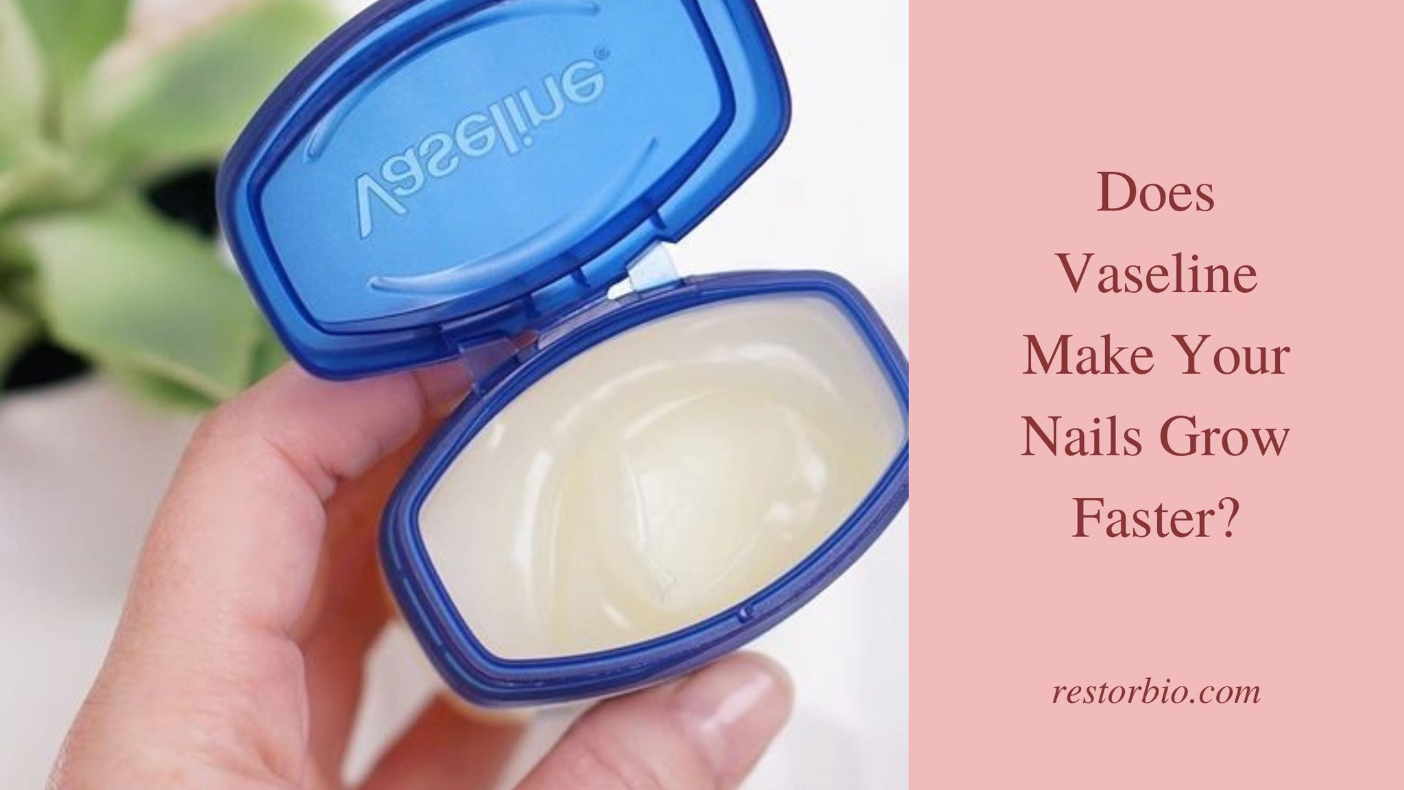 Does Vaseline Make Your Nails Grow Faster|||