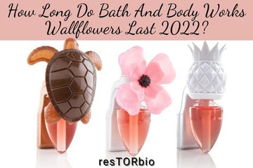 how-long-do-bath-and-body-works-wallflowers-last